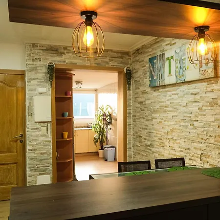 Pichi Проживание в семье *